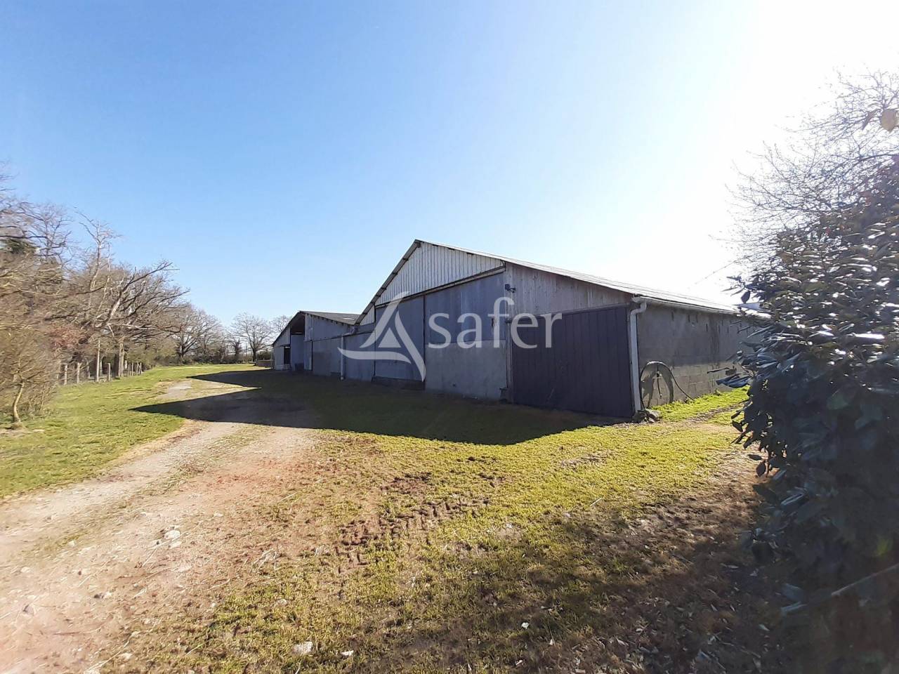 Explotación ovina En venta Deux-Sèvres