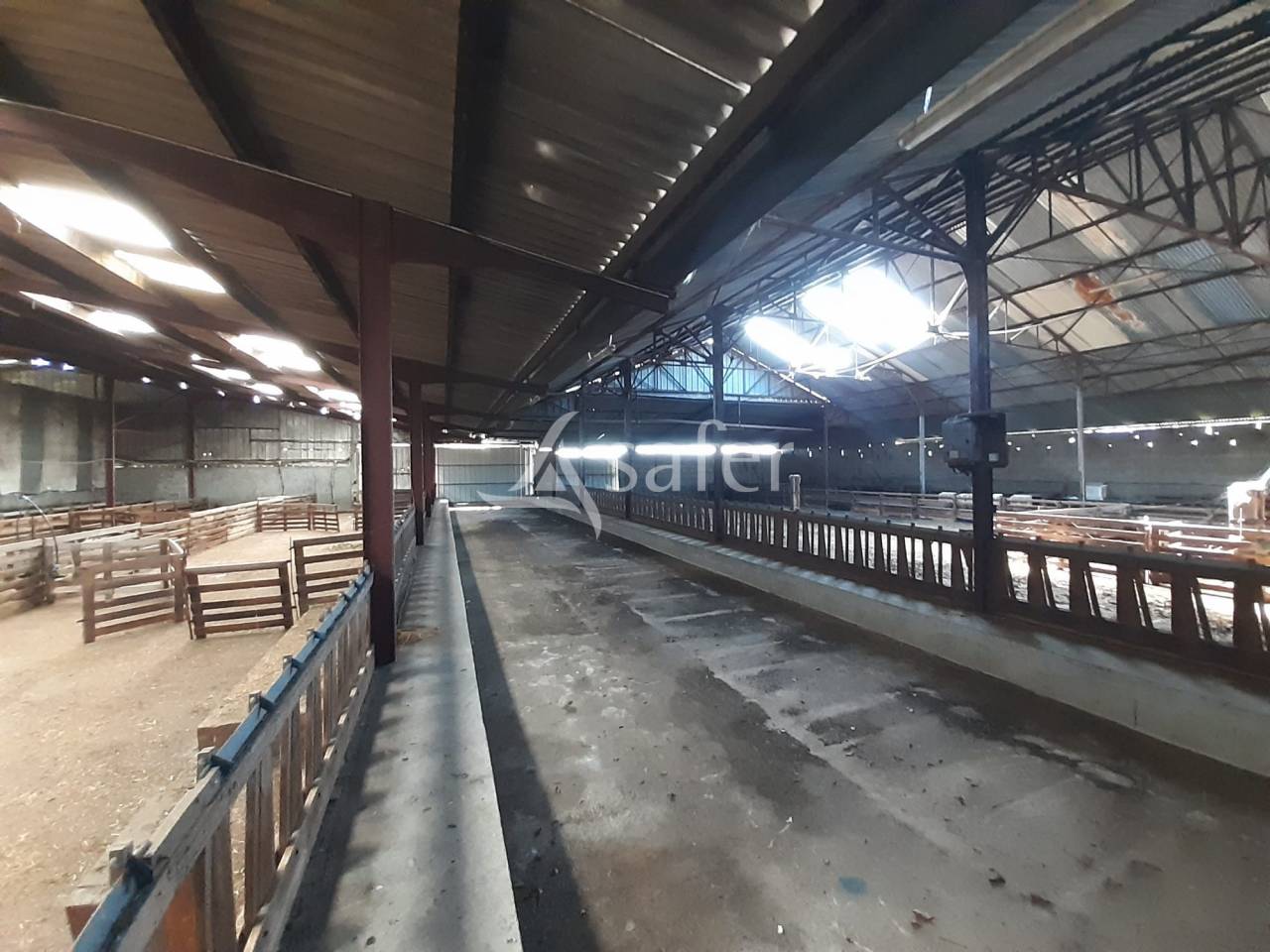 Explotación ovina En venta Deux-Sèvres