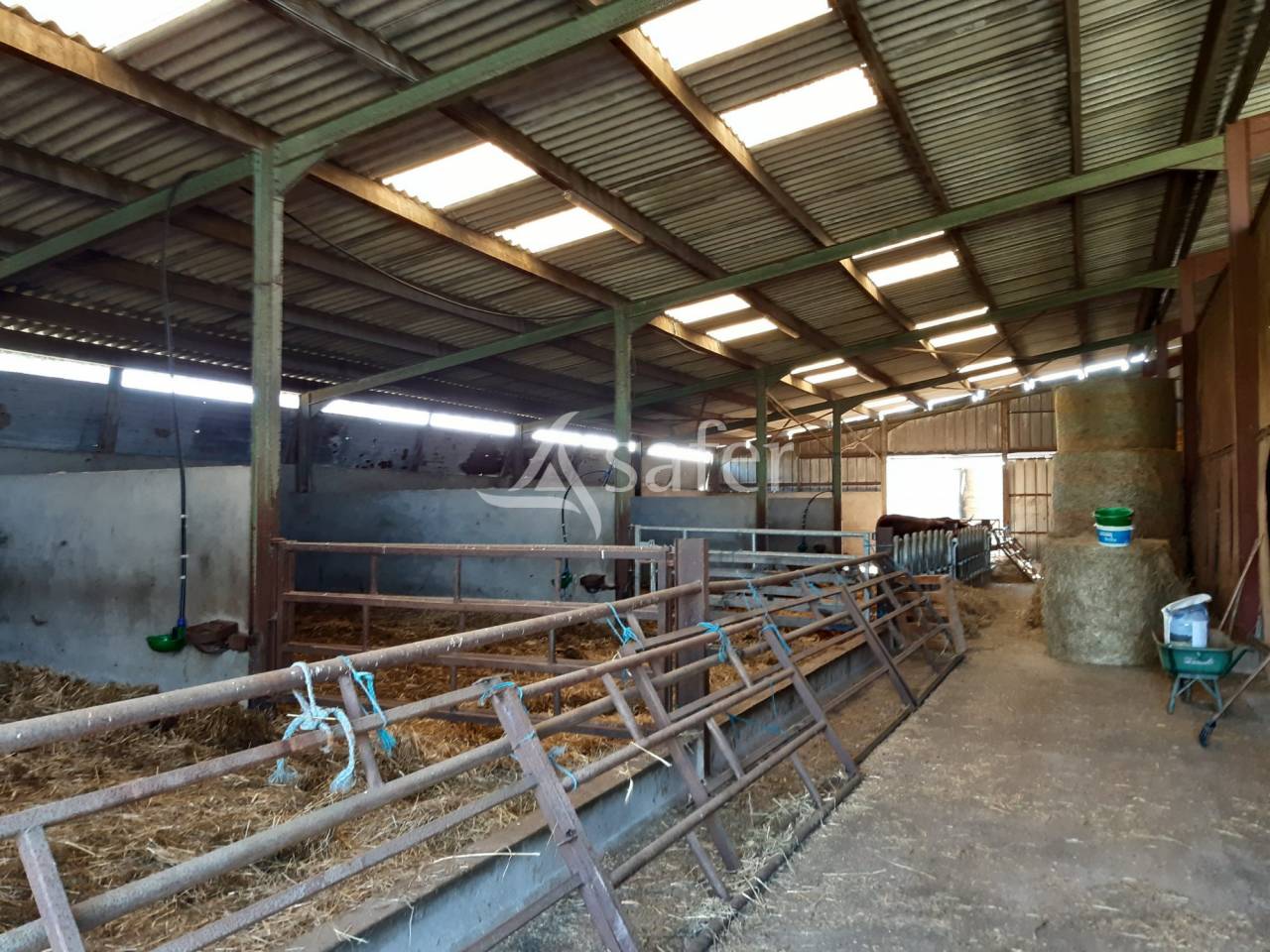 Explotación ovina En venta Deux-Sèvres