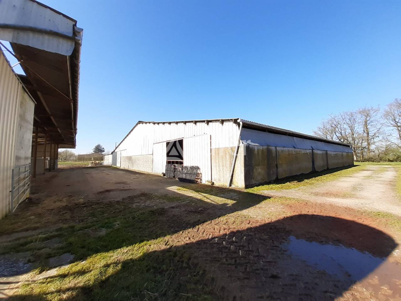 Explotación ovina En venta Deux-Sèvres