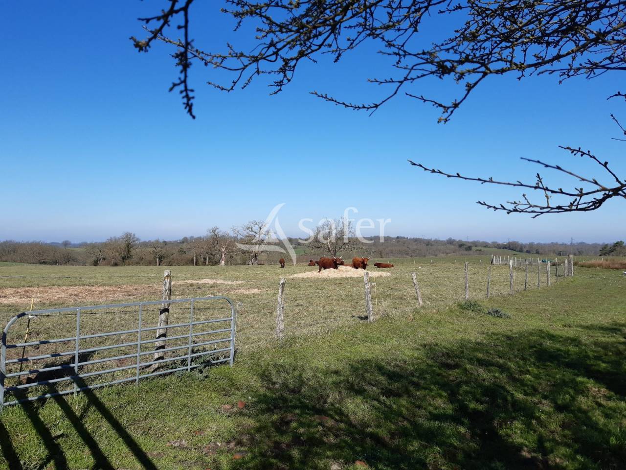 Explotación ovina En venta Deux-Sèvres