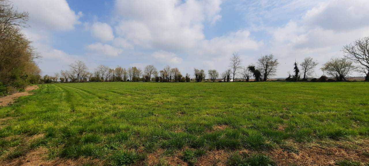 Propiedad ecuestre En venta Vendée