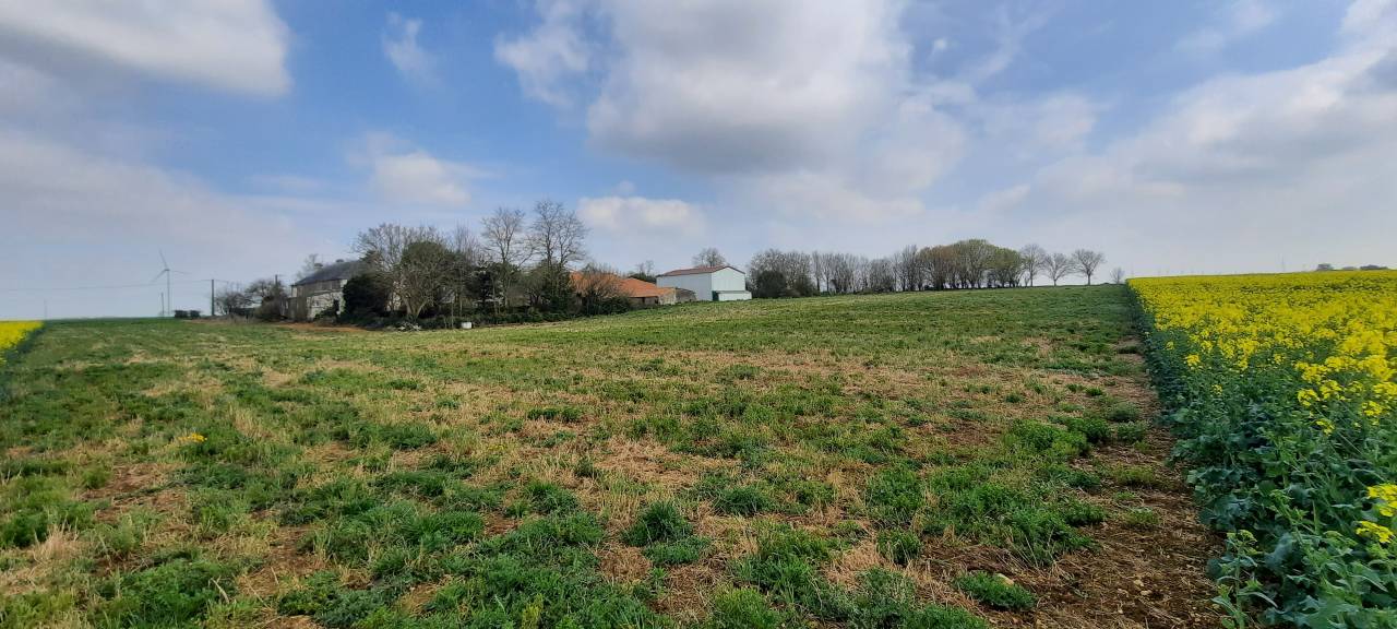 Propiedad ecuestre En venta Vendée