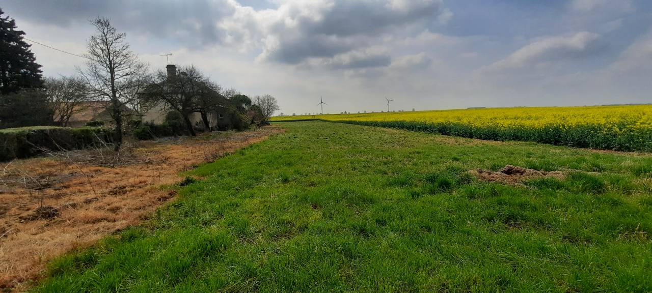 Propiedad ecuestre En venta Vendée