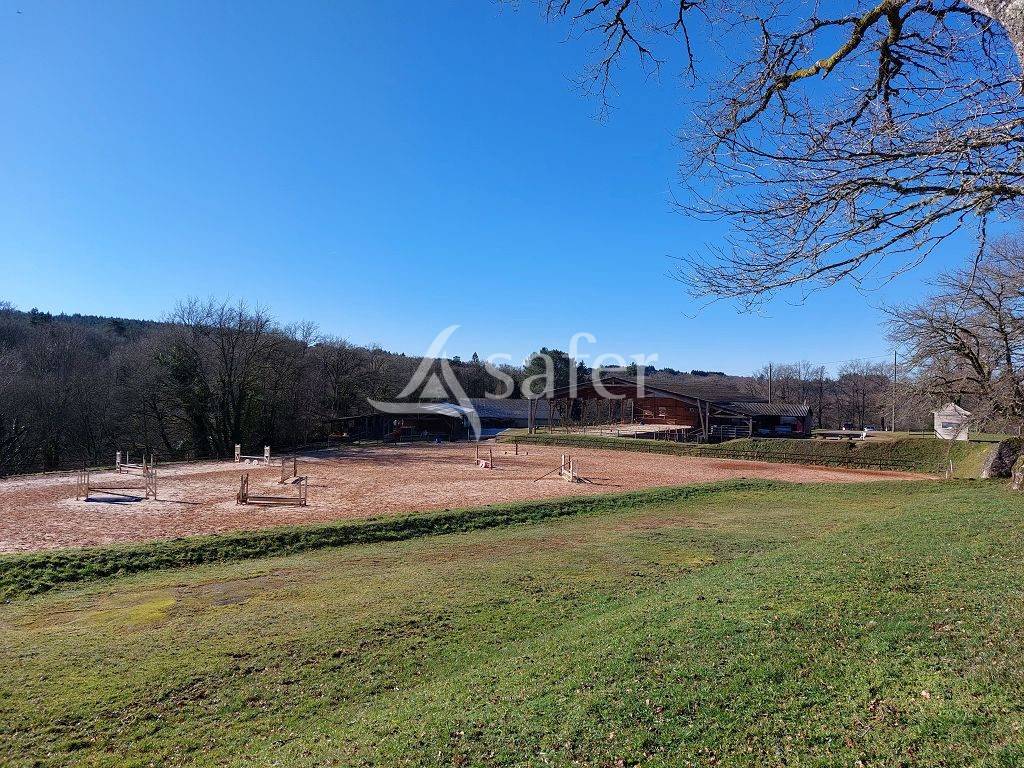 Propiedad ecuestre En venta Alto Vienne
