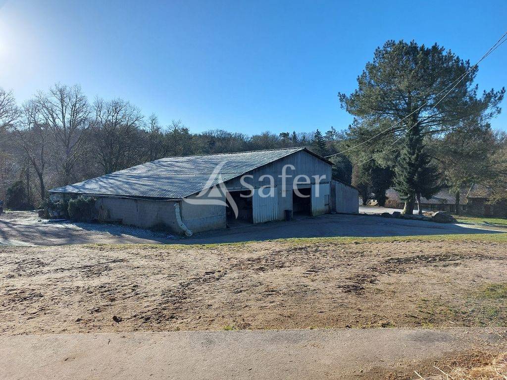 Propiedad ecuestre En venta Alto Vienne