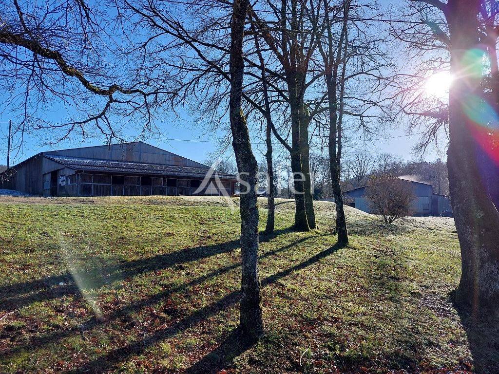 Propiedad ecuestre En venta Alto Vienne