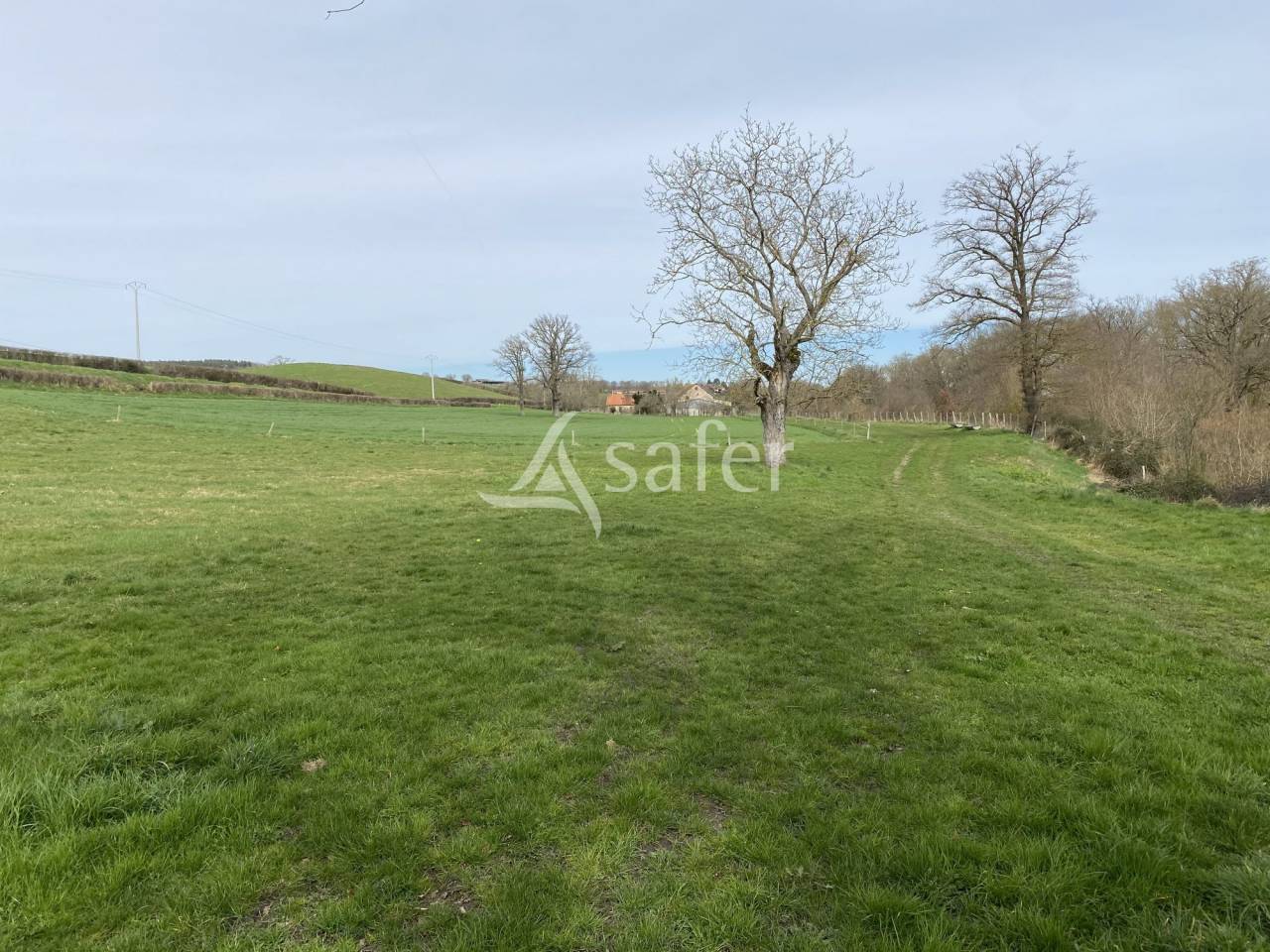 Explotación ovina En venta Allier