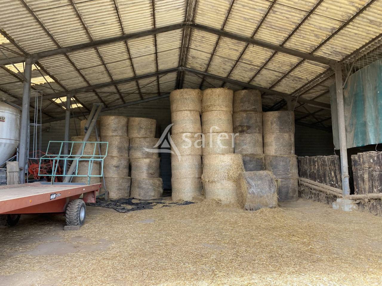 Explotación ovina En venta Allier