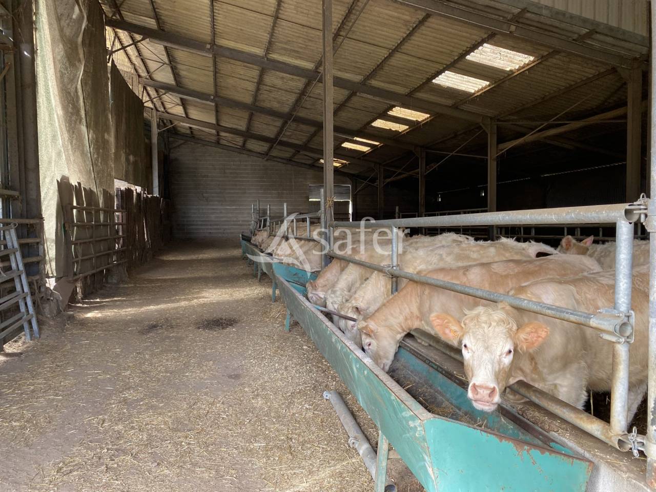 Explotación ovina En venta Allier