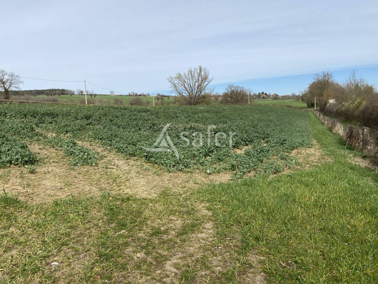 Explotación ovina En venta Allier