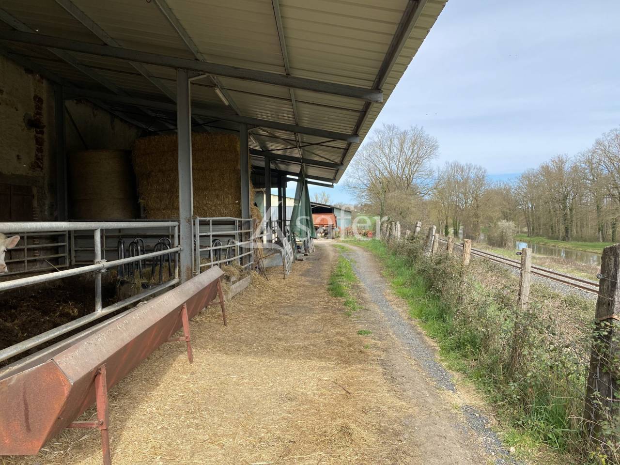 Explotación ovina En venta Allier