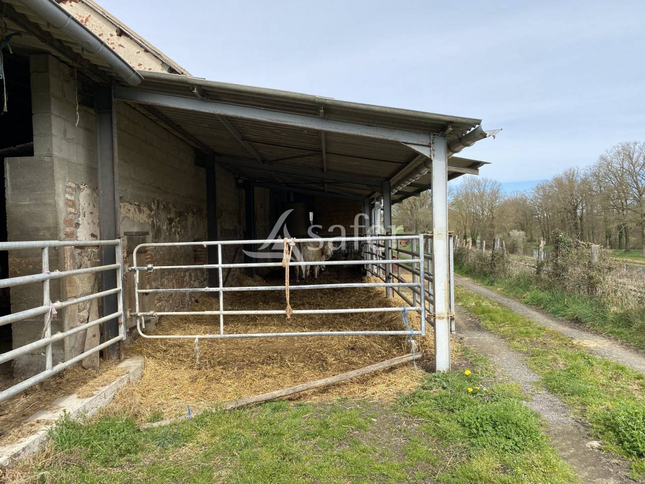 Explotación ovina En venta Allier