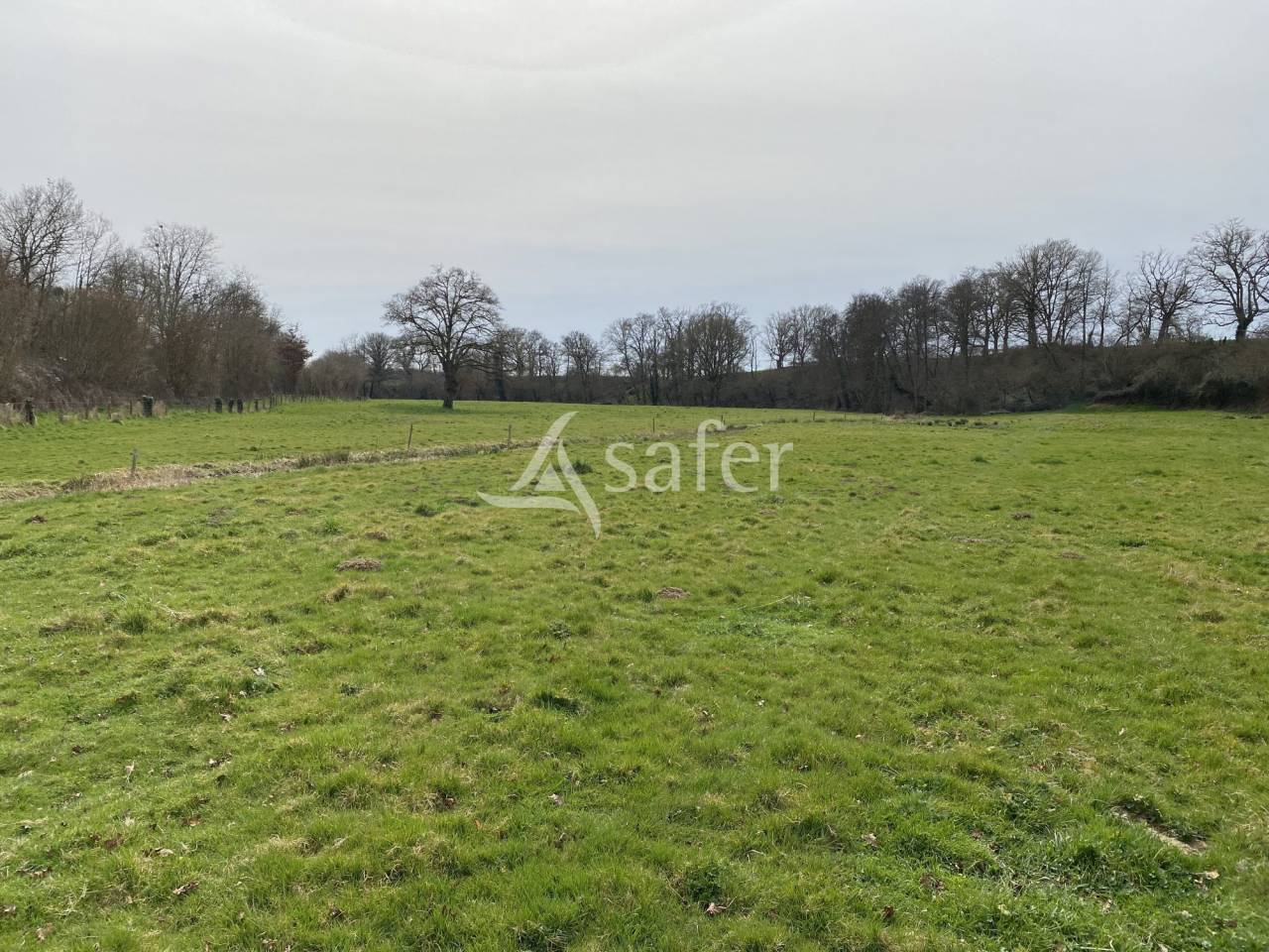 Explotación ovina En venta Allier