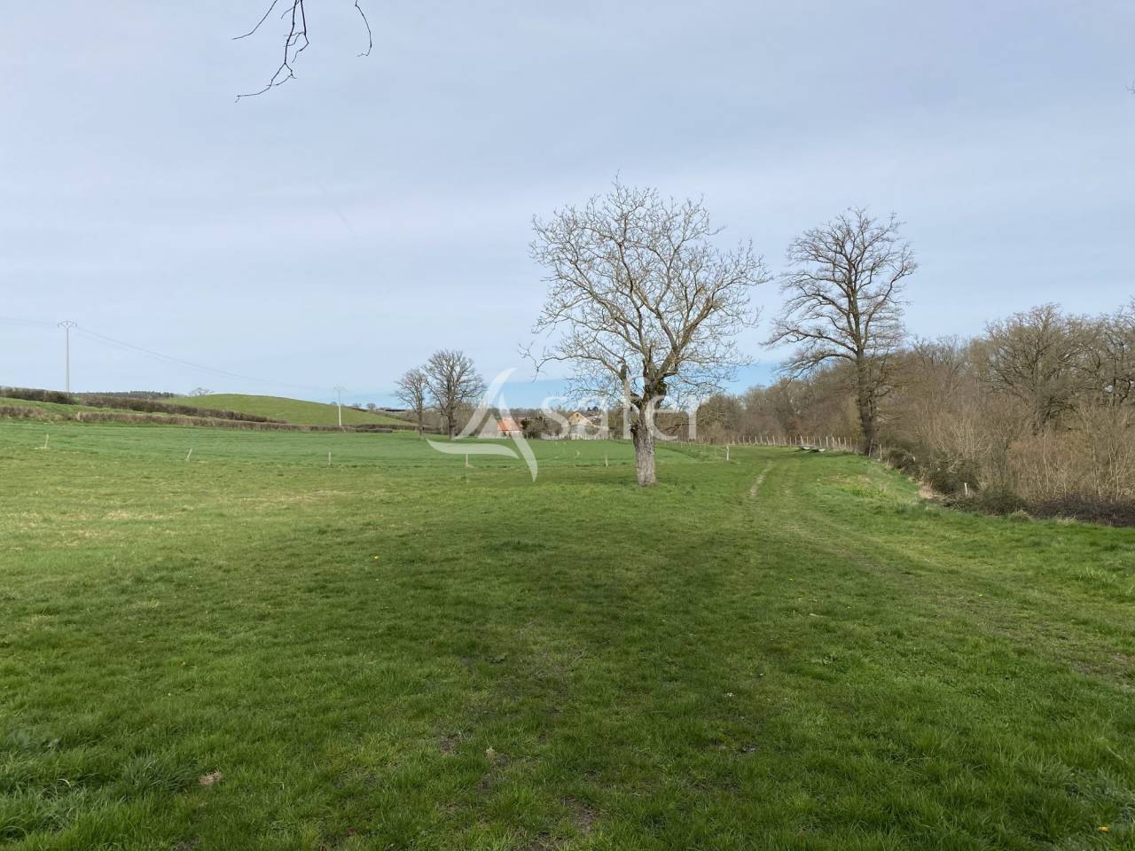 Explotación ovina En venta Allier