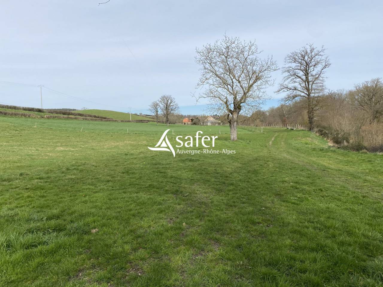 Explotaci&oacute;n ovina En venta Allier