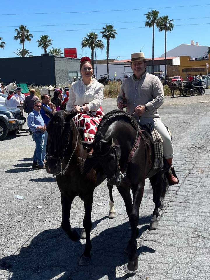 Caballo entero PRE Pura Raza Española En venta 2016 Negro