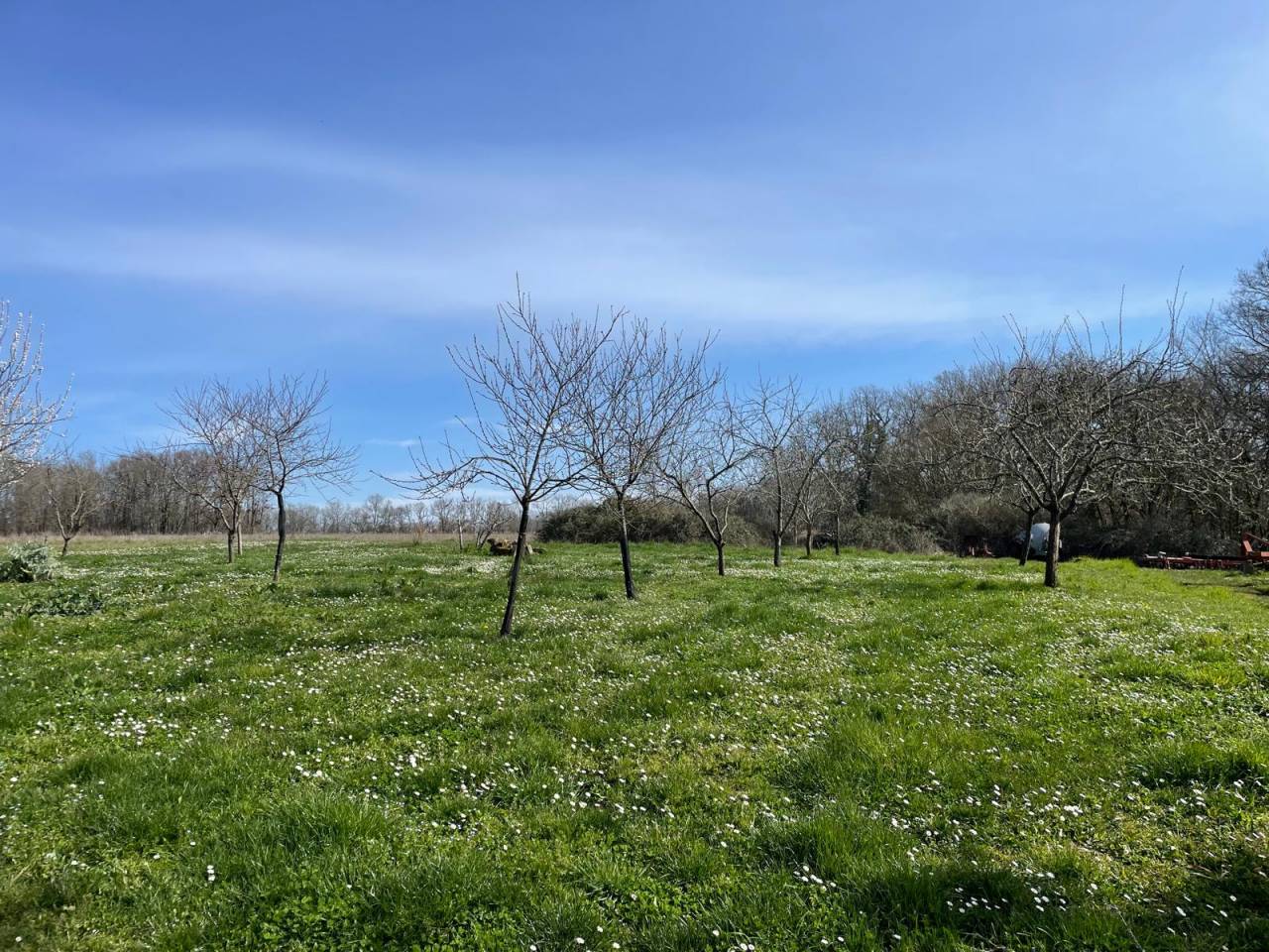 Propiedad ecuestre En venta Dordoña