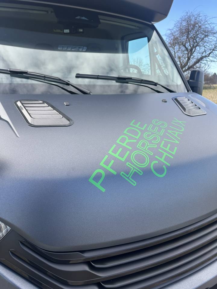 Furgoneta para caballos Iveco IVECO 0 Nuevo