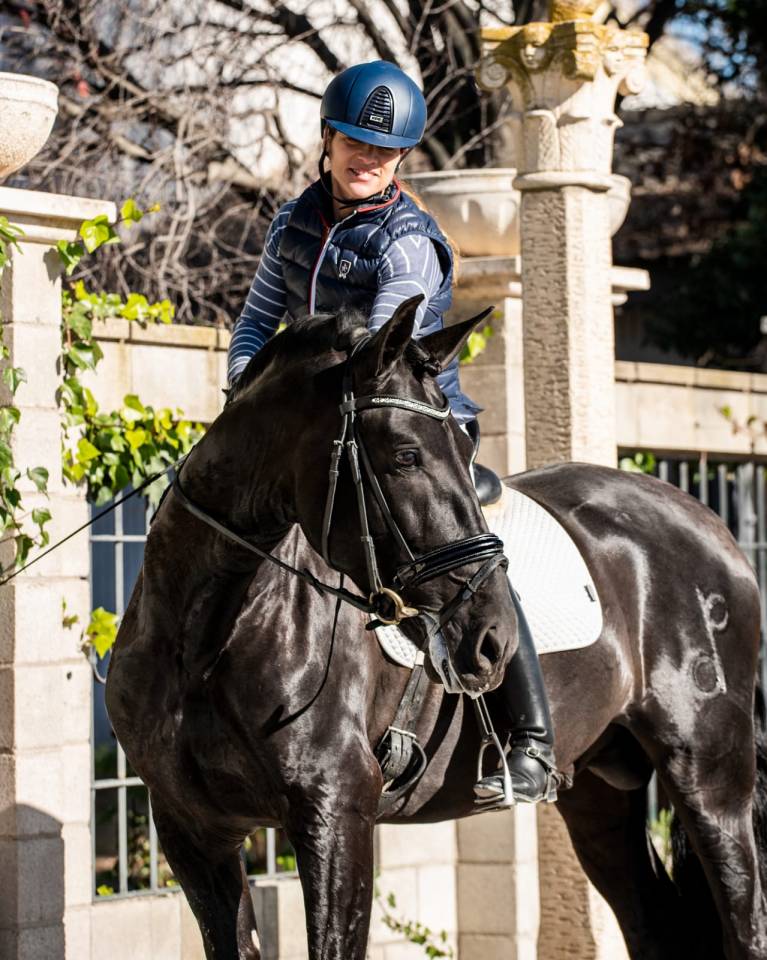 Potro PRE Pura Raza Española En venta 2025 Negro por MONJE II