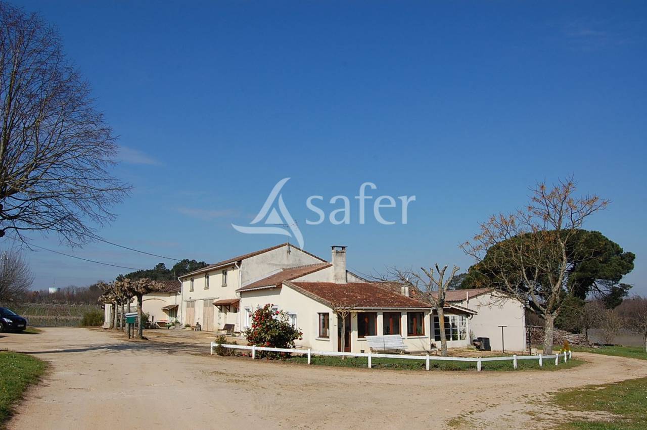 Explotación vitícola / Viñedo En venta Gironda