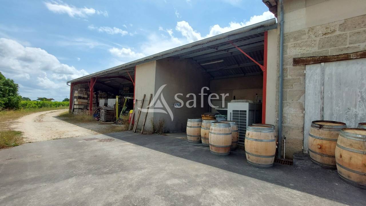 Explotación vitícola / Viñedo En venta Gironda
