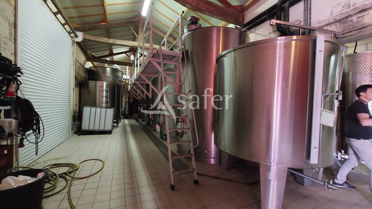 Explotación vitícola / Viñedo En venta Gironda