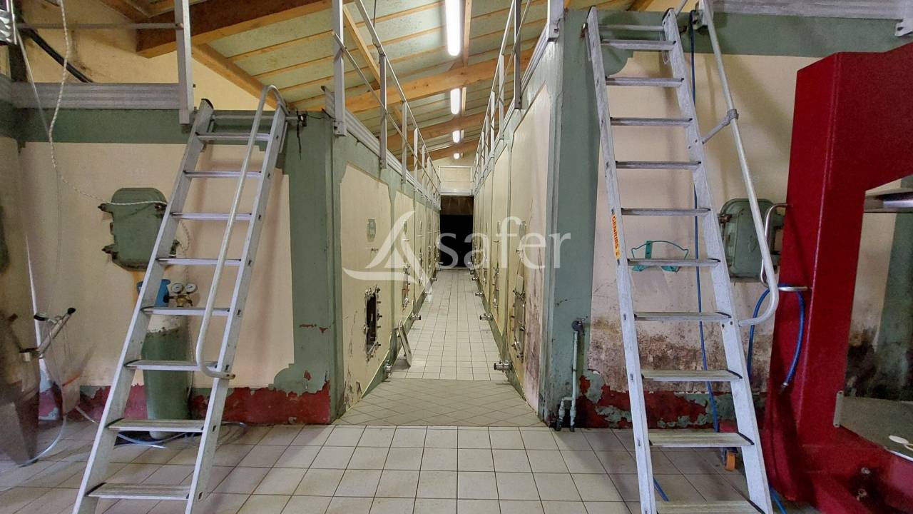 Explotación vitícola / Viñedo En venta Gironda