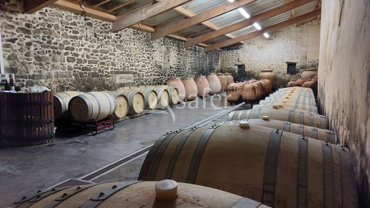 Explotación vitícola / Viñedo En venta Gironda