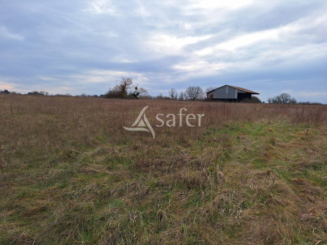 Propiedad rural En venta Loir y Cher