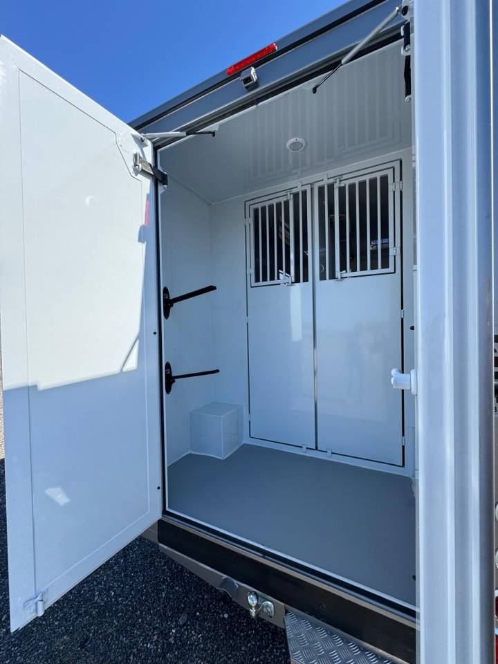 Furgoneta para caballos TBST Renault Master 2025 Nuevo