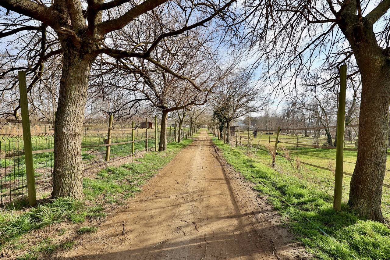 Propiedad ecuestre En venta Drôme