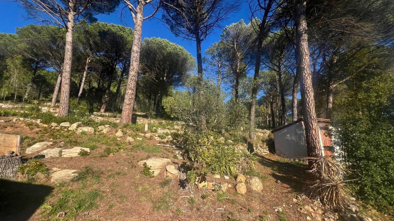 Propiedad ecuestre En venta Var