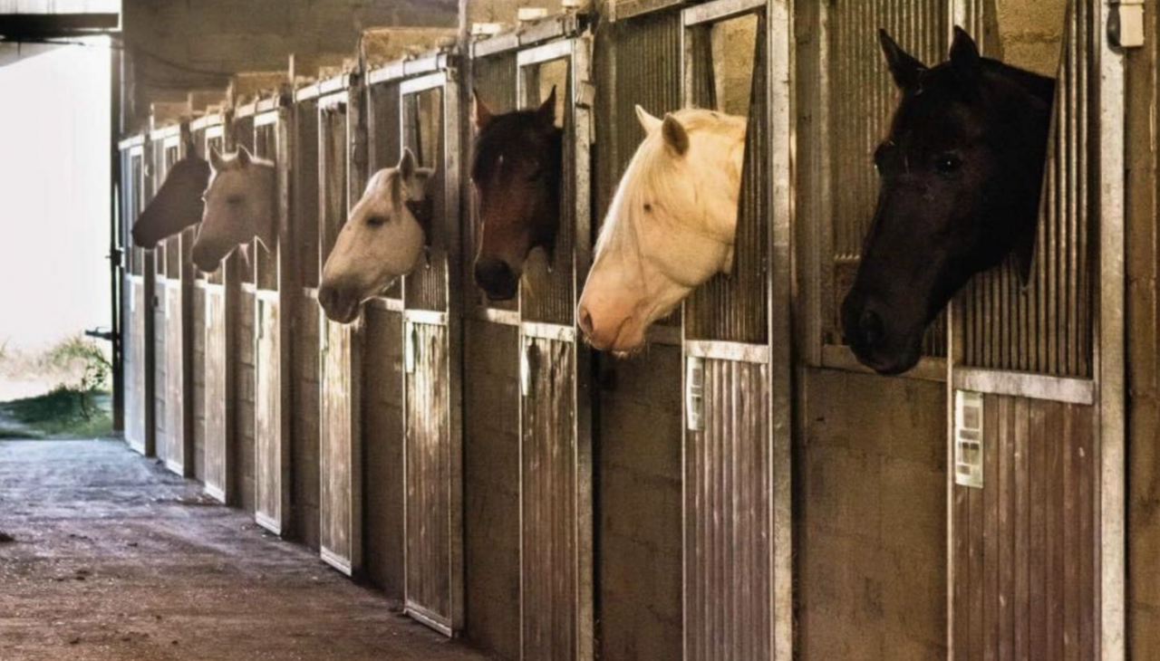 Propiedad ecuestre En venta Gers