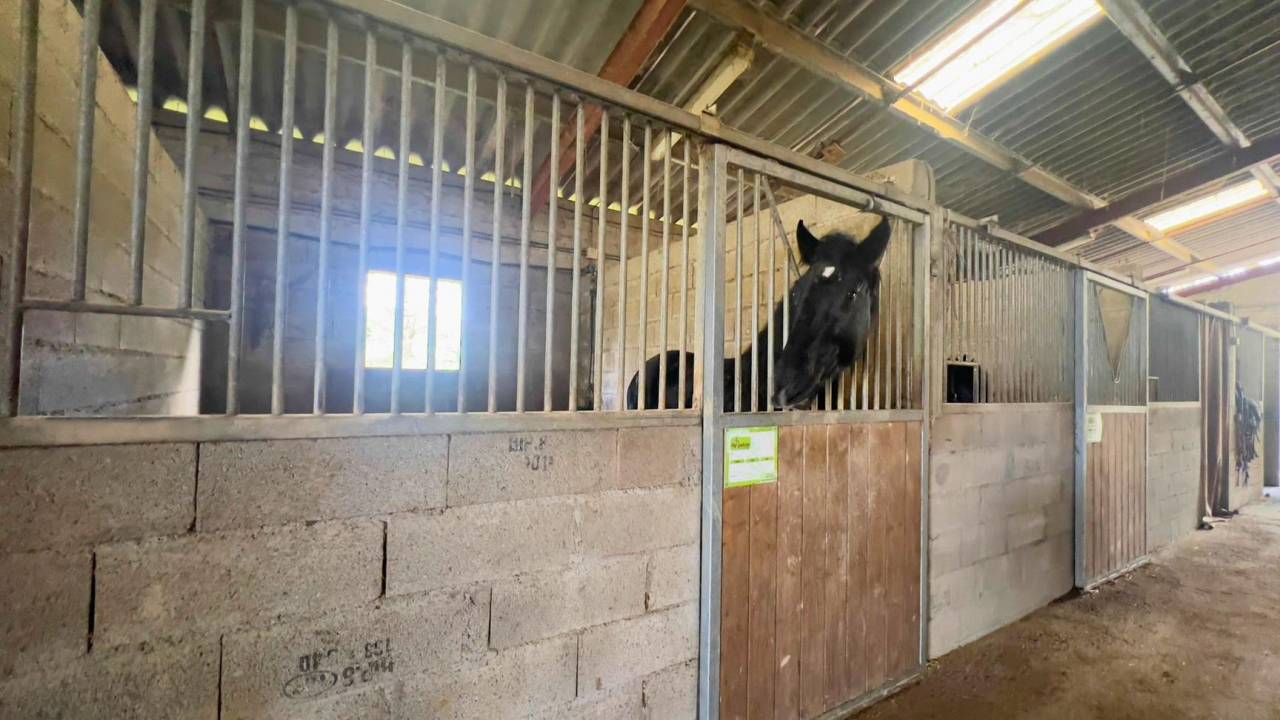 Propiedad ecuestre En venta Gers