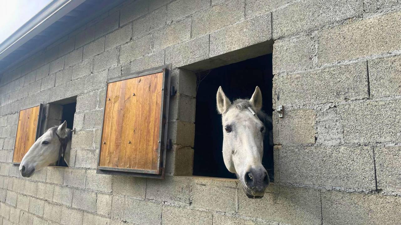 Propiedad ecuestre En venta Gers