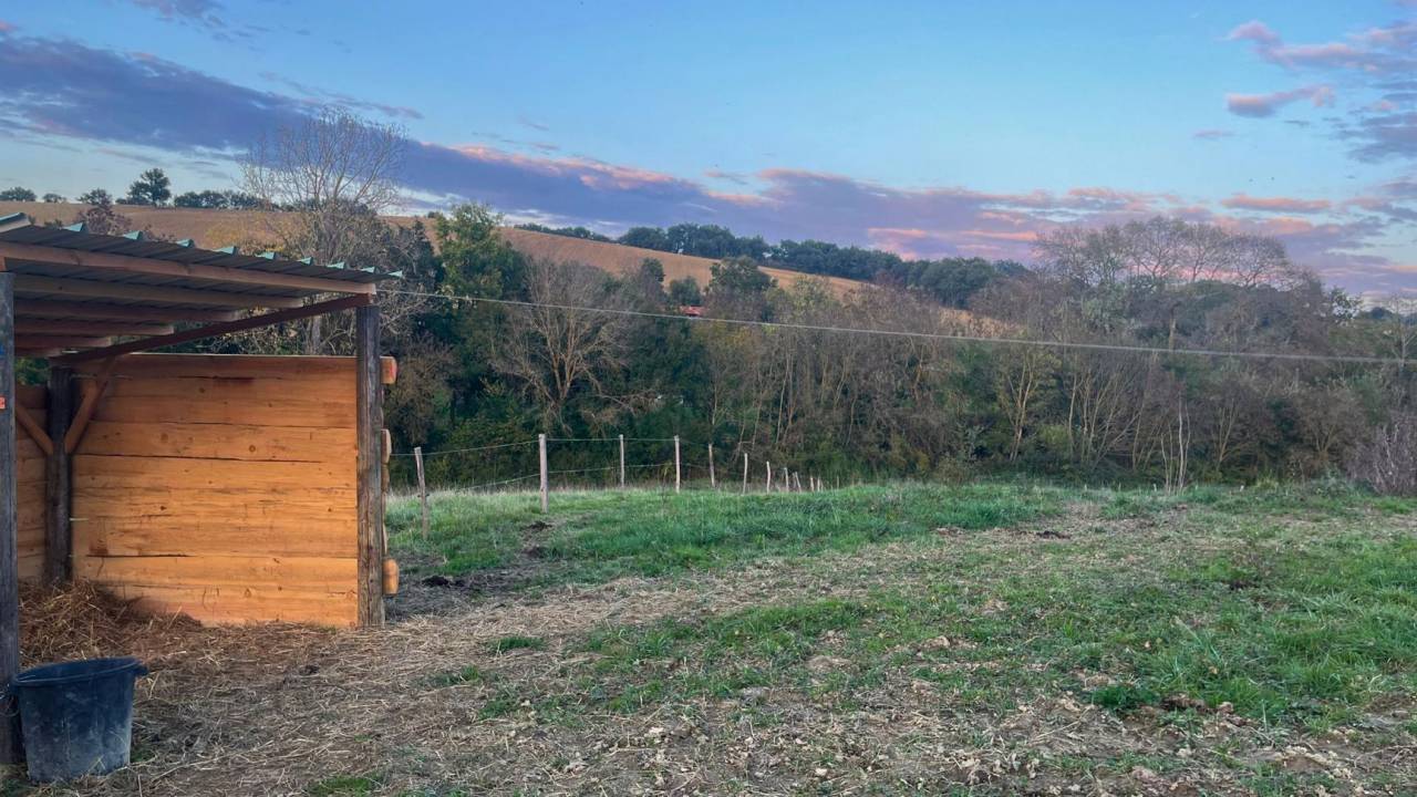 Propiedad ecuestre En venta Gers