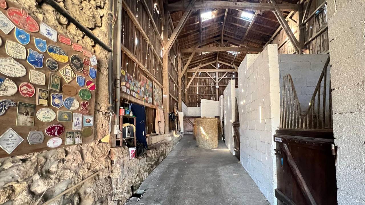 Propiedad ecuestre En venta Gironda