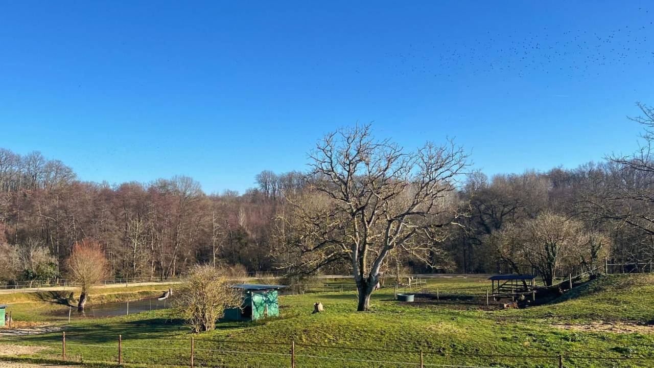 Propiedad ecuestre En venta Gironda