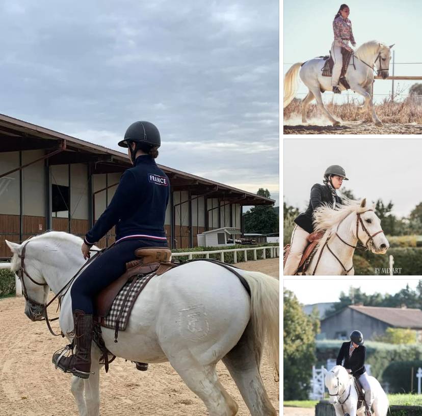Caballo castrado Camargue En venta 2015 Blanco por UBU DE BELUGO