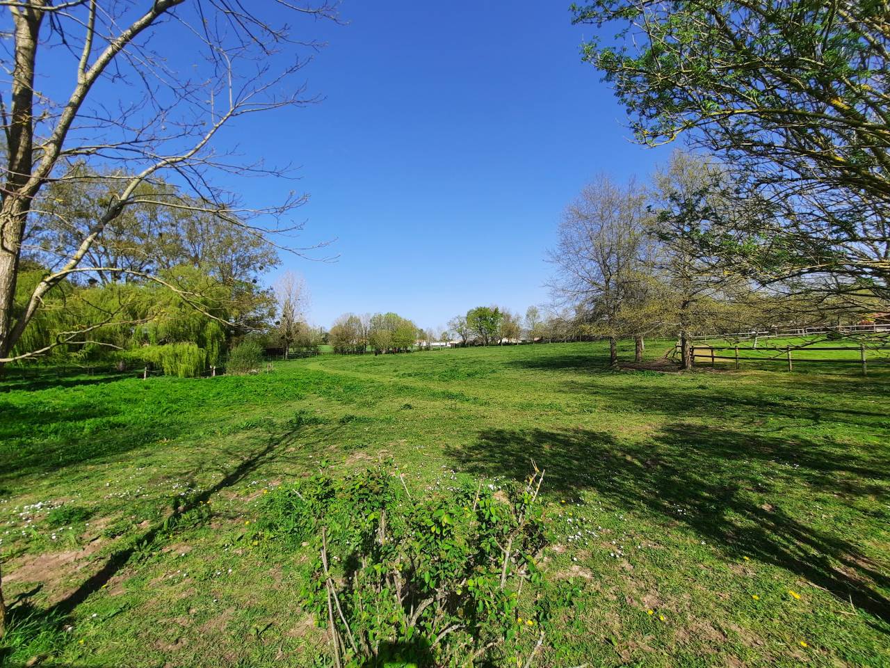 Propiedad ecuestre En venta Vendée