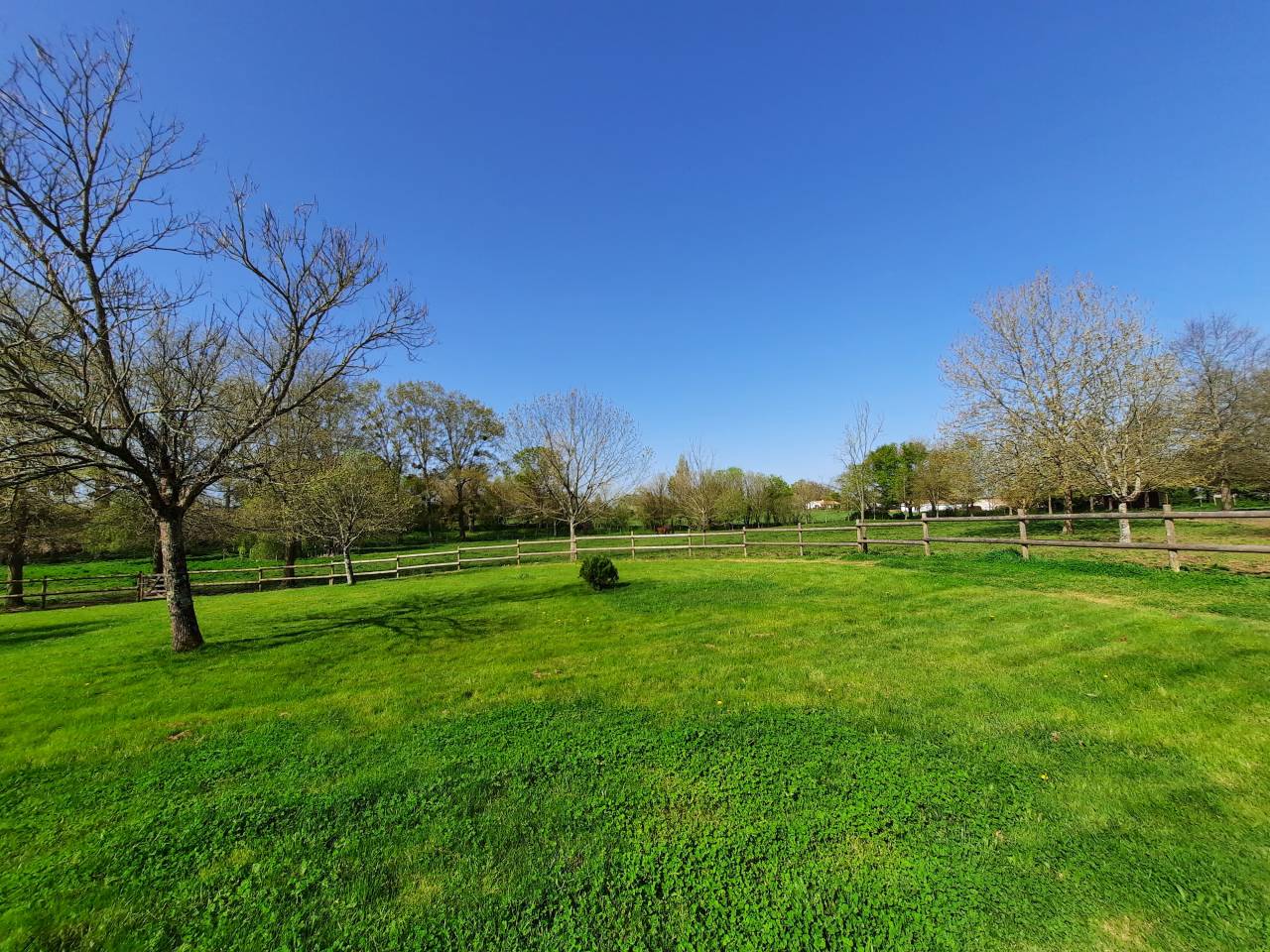 Propiedad ecuestre En venta Vendée