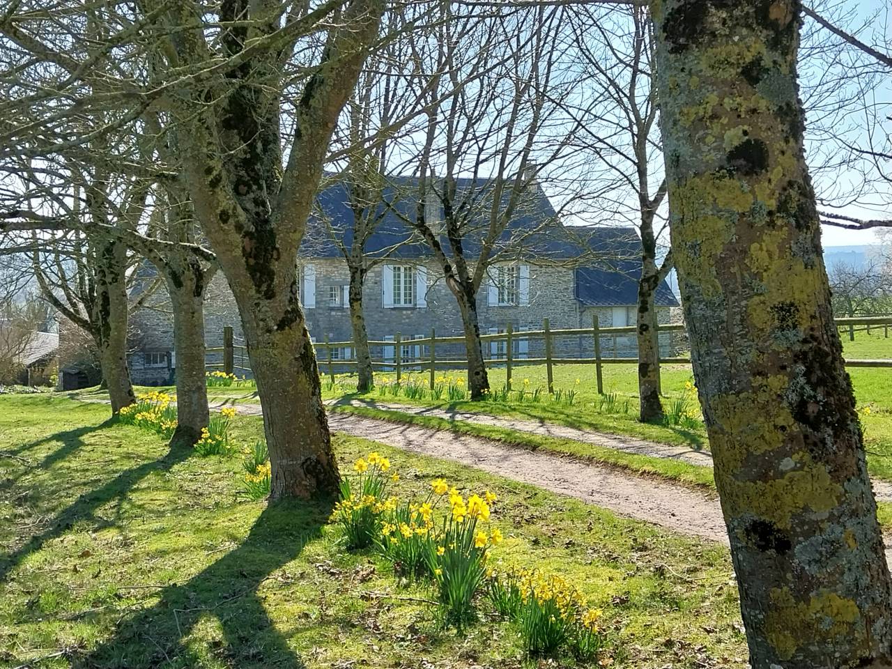 Bonita residencia ecuestre En venta Calvados