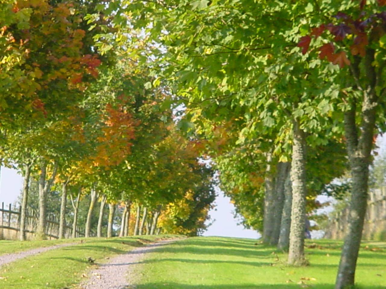 Bonita residencia ecuestre En venta Calvados