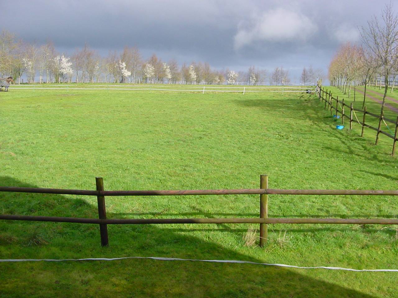 Bonita residencia ecuestre En venta Calvados