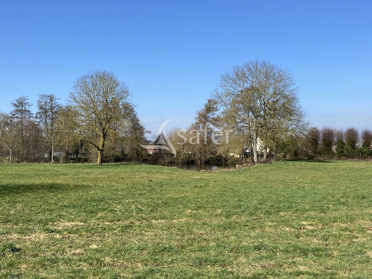 Explotación forestal En venta Sena Marítimo