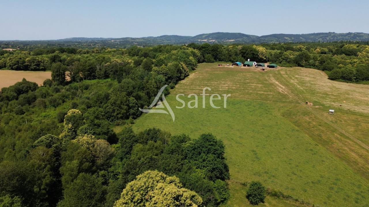 Explotación agrícola En venta Alto Vienne