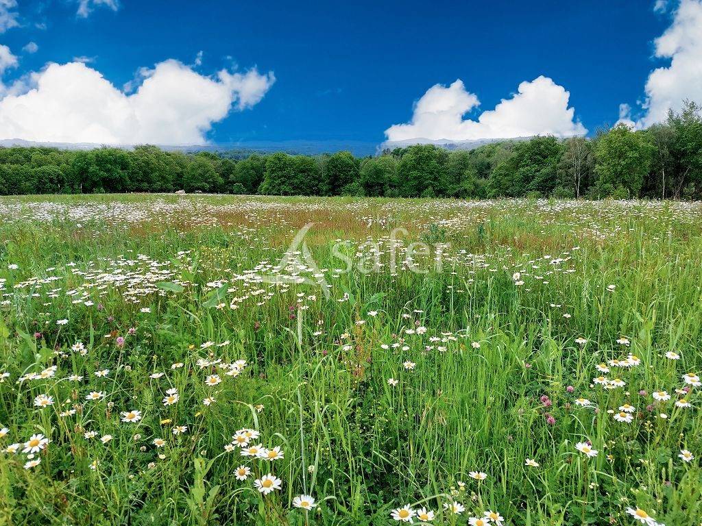 Explotación agrícola En venta Alto Vienne