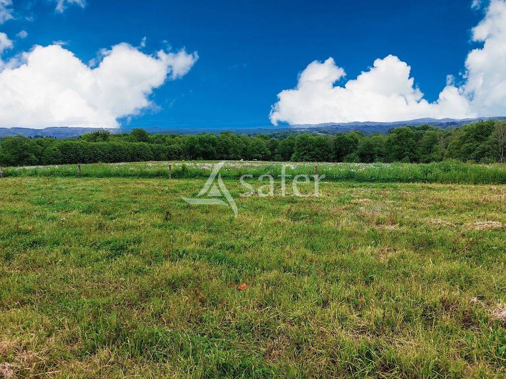 Explotación agrícola En venta Alto Vienne