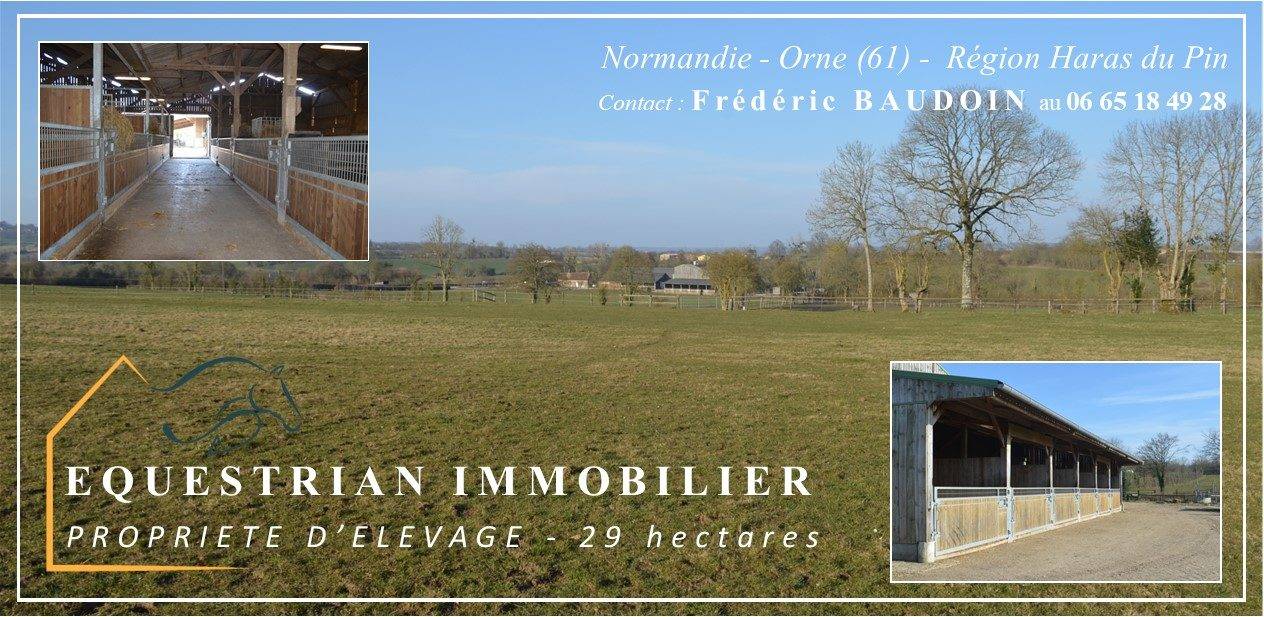 Acaballadero En venta Orne